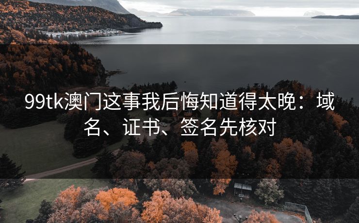 99tk澳门这事我后悔知道得太晚：域名、证书、签名先核对