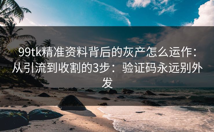 99tk精准资料背后的灰产怎么运作：从引流到收割的3步：验证码永远别外发
