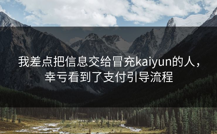 我差点把信息交给冒充kaiyun的人，幸亏看到了支付引导流程